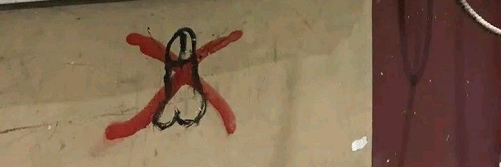 budai chewy cookie banner