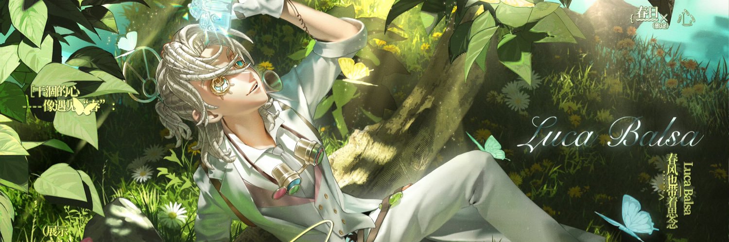 IDV-Luca Balsa-Fan Page banner