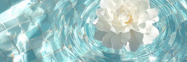 meuti_4's profile banner image