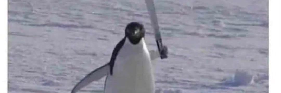 Tickle My Script banner