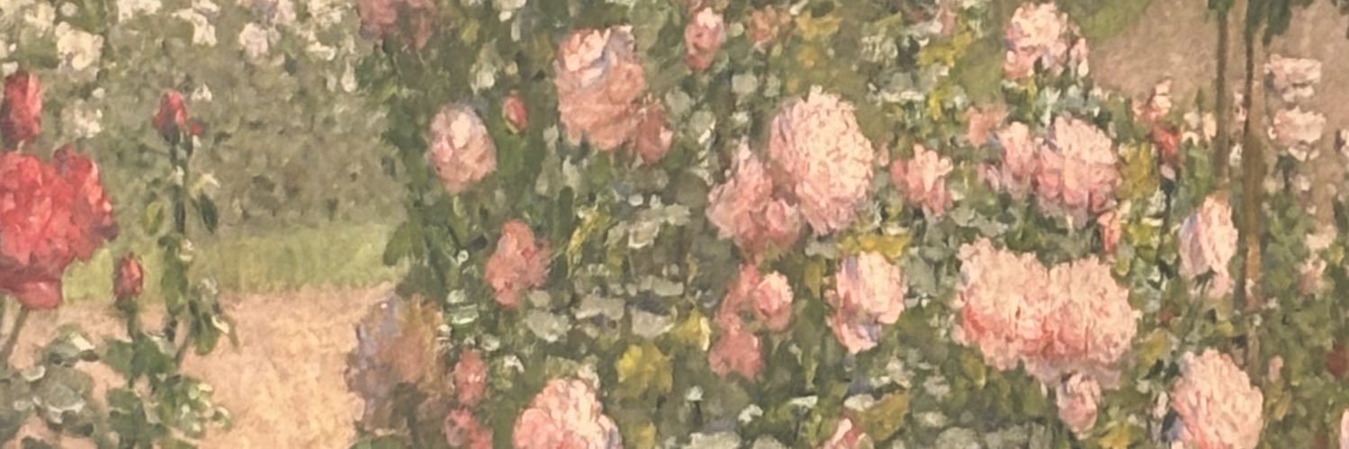 ✧ banner