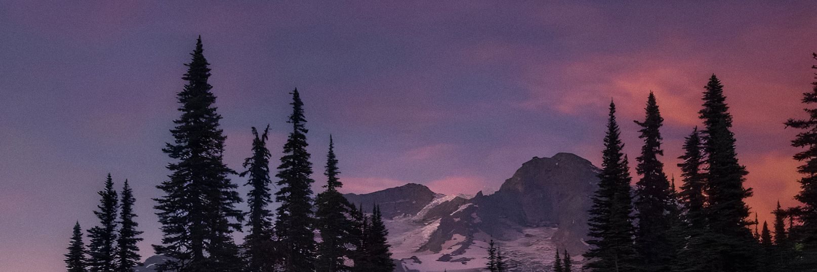 𝒈𝒐𝒓𝒈 ♡ banner