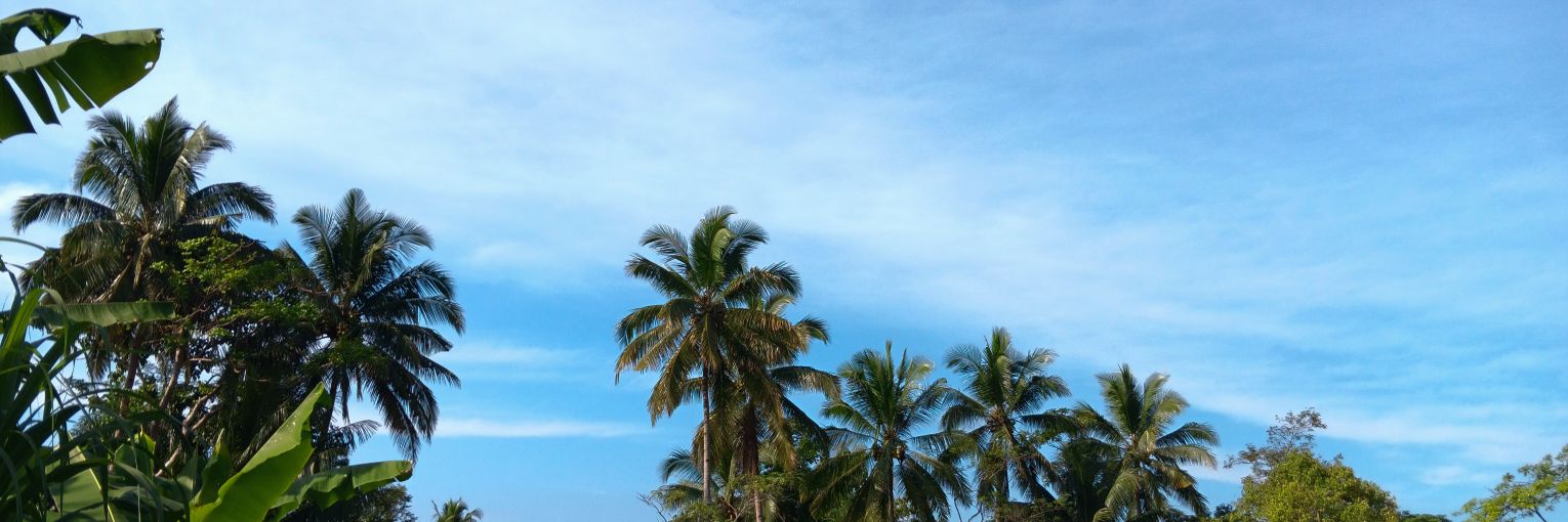 sitifajarfu's profile banner image