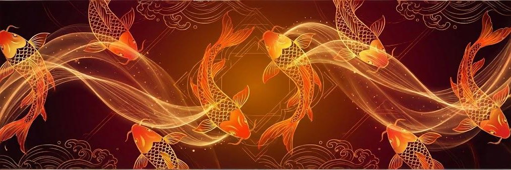 幸运锦鲤 banner