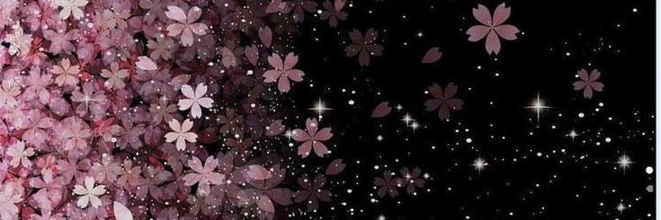 Poli Boo ♡︎ banner