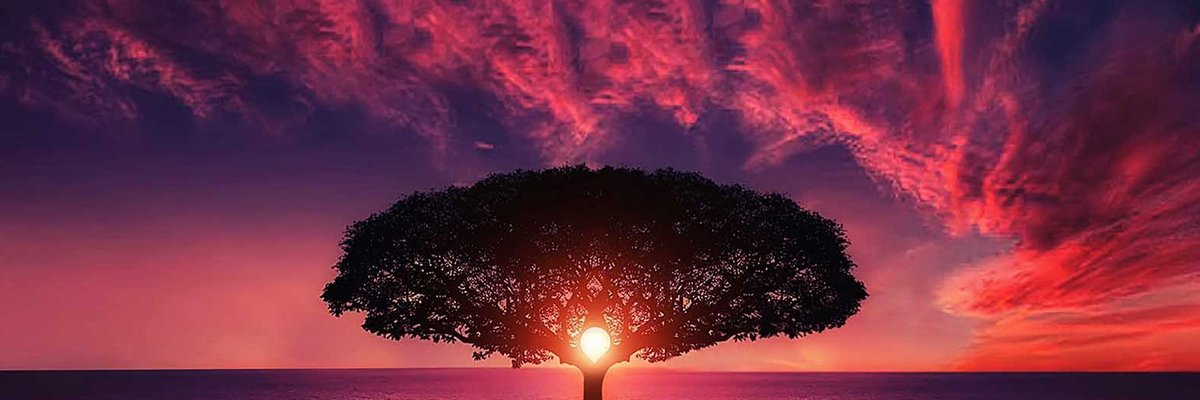 StaceyLiving fortheSun&Stars❤️🌊🦁💫♌ banner