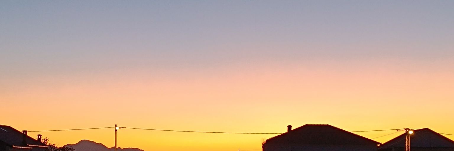 🌻 | 𝓢𝓾𝓷𝓯𝓵𝓸𝔀𝓮𝓻 / 𝓙𝓲𝓽𝓽𝔂 | 🌻 banner