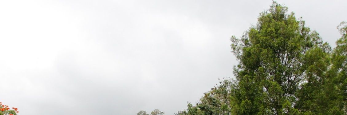 doomediyh's profile banner image