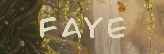 Faye banner