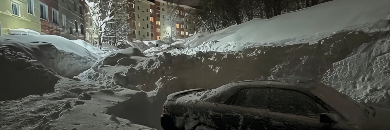 Катарина banner