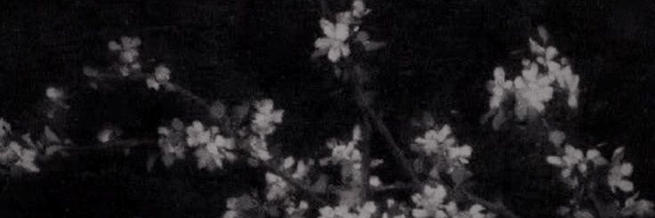 ⋆˚࿔ syrup (8/15) banner