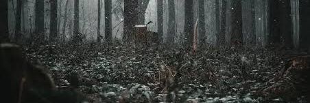 مرد نجیب banner