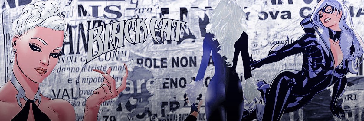 🐈 Black Cat 💎 banner