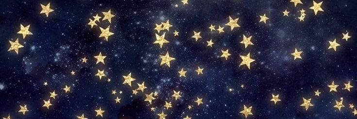 ₍ᐢ..ᐢ₎✰ banner