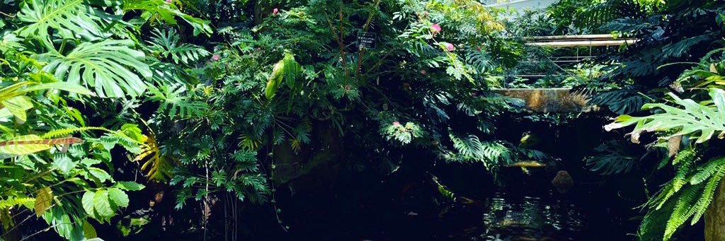 _sukeya's profile banner image