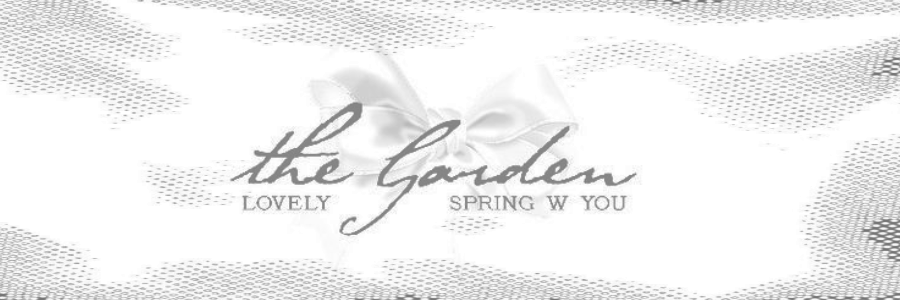 ᅠᅠᅠ𓇉 ̽ ᅠᅠᅠ᥎ᵃ̸ᵣ𝖐ᵃ̤ᅠᅠ， banner