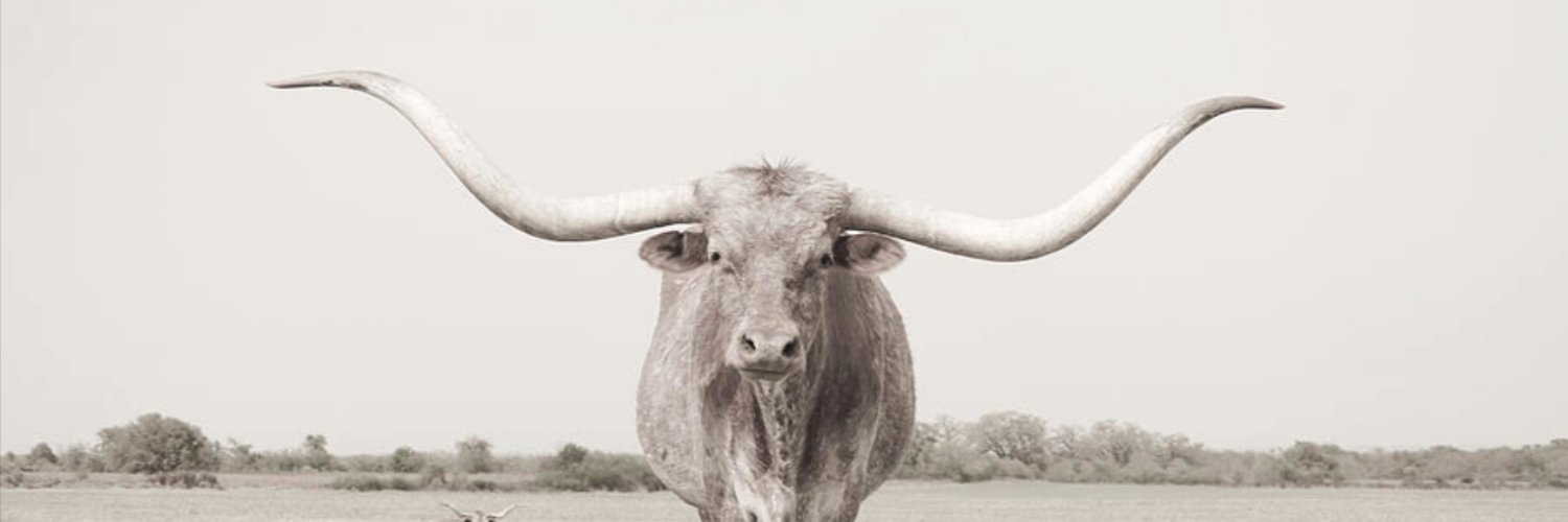 Terry Phillips banner