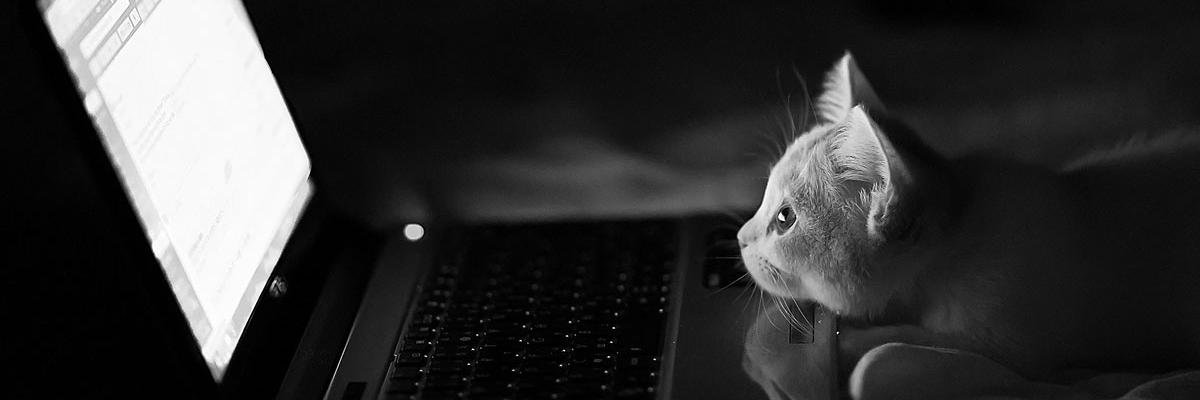 Mark Promnitz banner