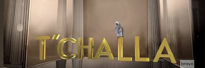 ConorSingleton's profile banner image