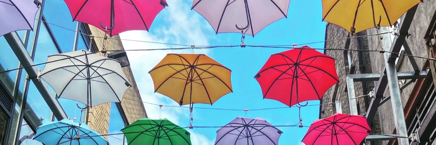 Catherine Sanderman banner