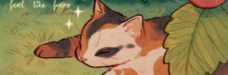 Edu Rodriguez banner