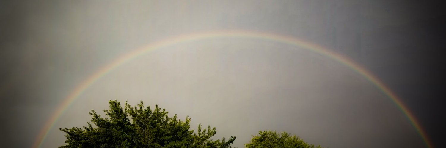 TheIndyWilsons's profile banner image