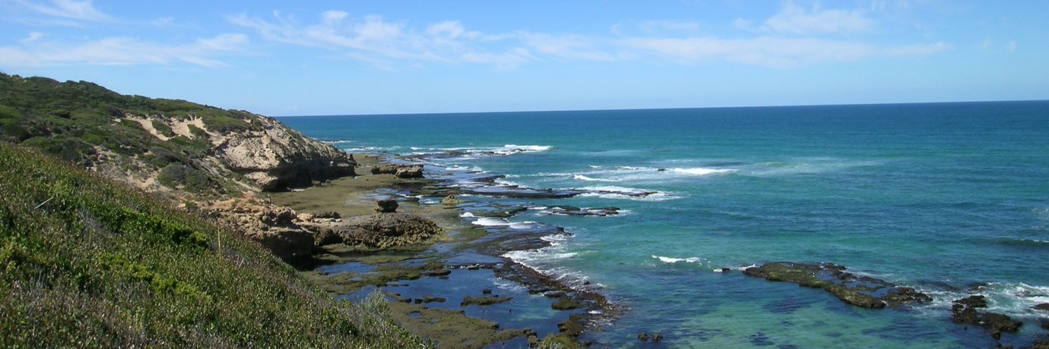 Danielle Carr banner