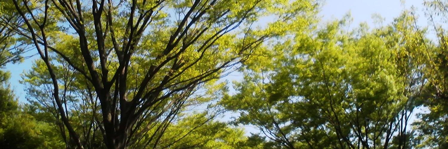 moon95v's profile banner image