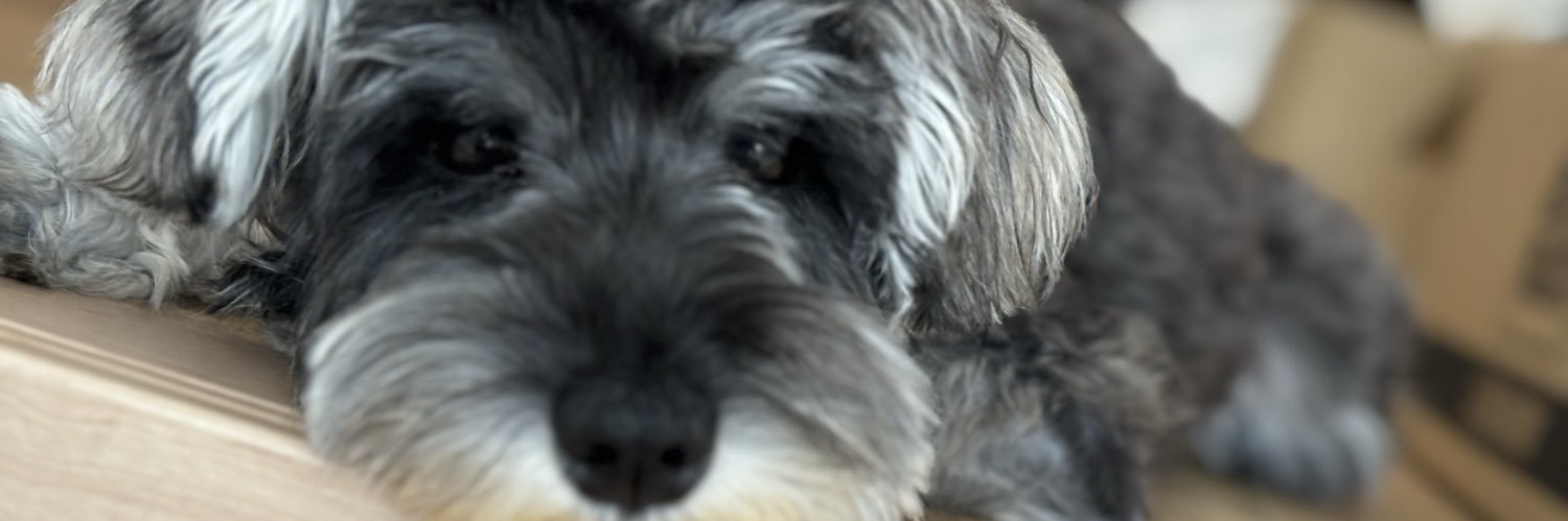 しゅうたろう banner