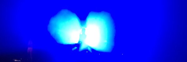 tanyasweeney Profile Banner
