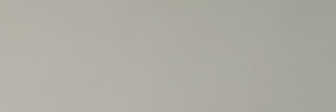 turtle banner