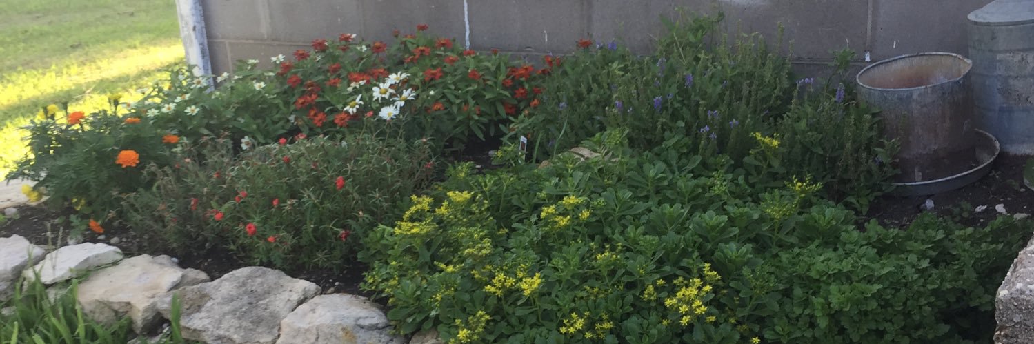 Marsha82's profile banner image