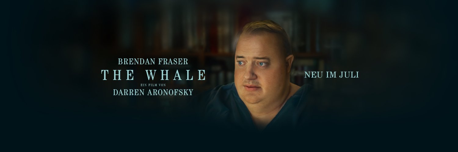 PLAION PICTURES banner