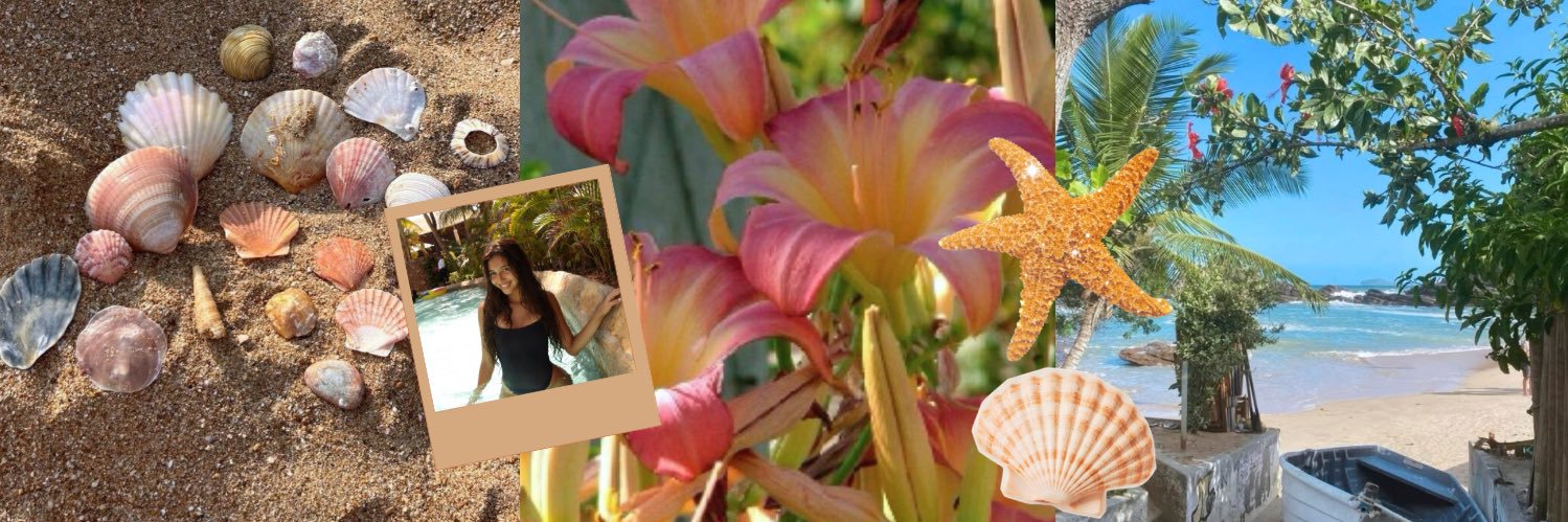 * 𝓶ılenα 𝒂rαújo banner