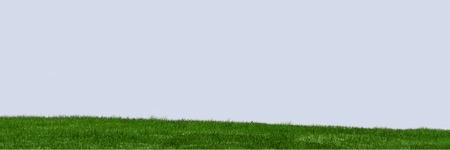 Green Progress banner