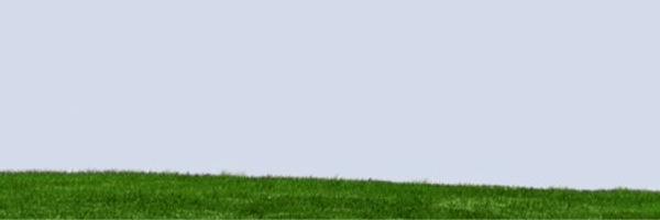 GreenProgress Profile Banner