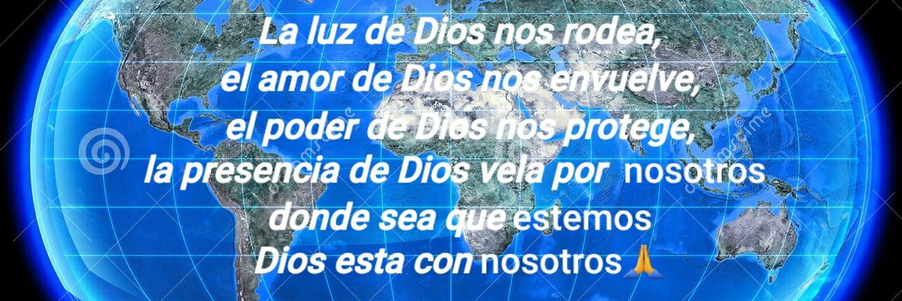 Luisa M.T. 🐈😸🐈‍⬛ banner