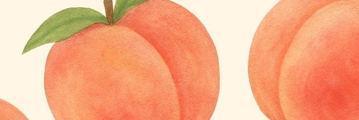 Rabudoo_pass's profile banner image