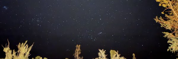 kompormaspion Profile Banner