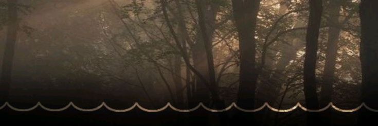 Thamicositas!💞 banner