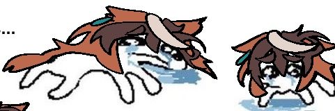 Symbol Rudol banner