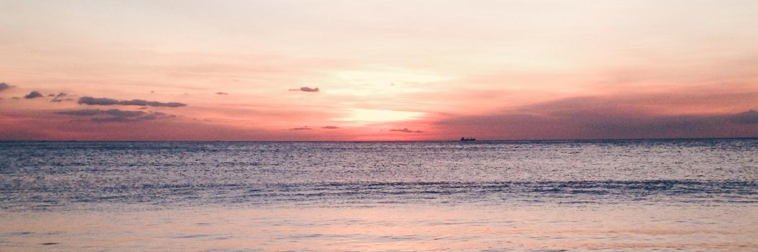 gellibeee's profile banner image