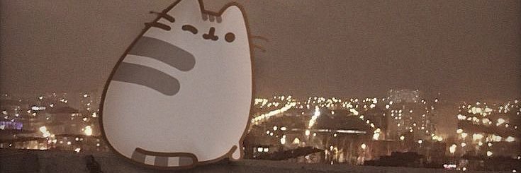 illiisions; shtwt banner