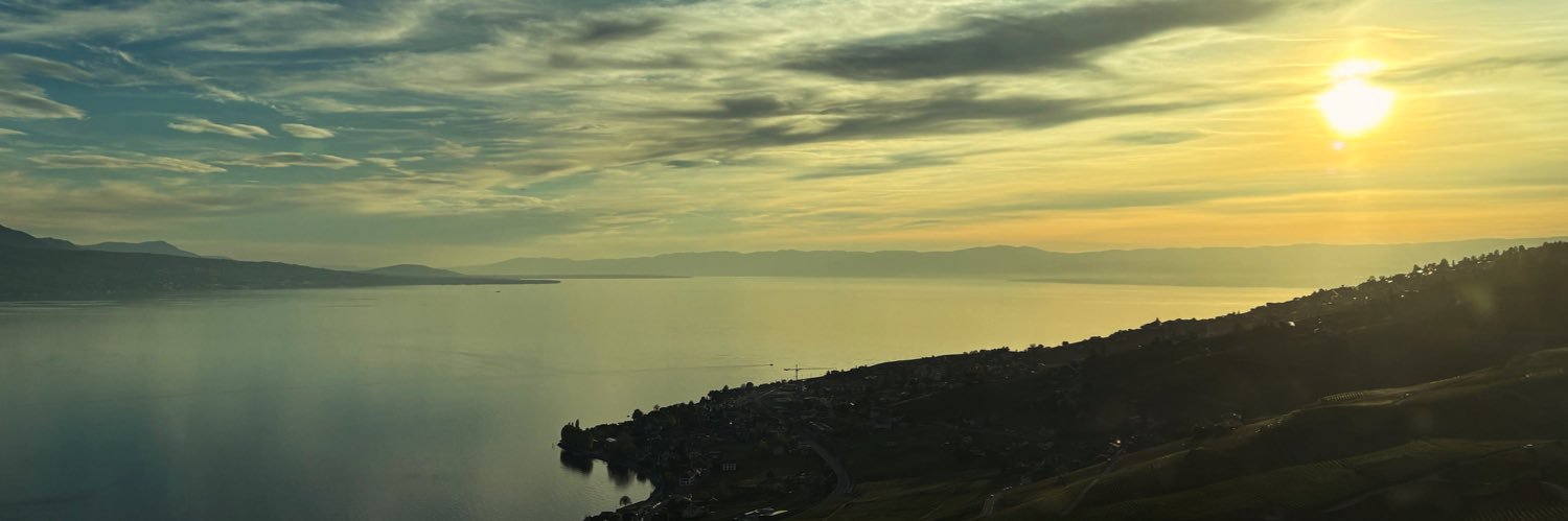 Paul Harrison banner