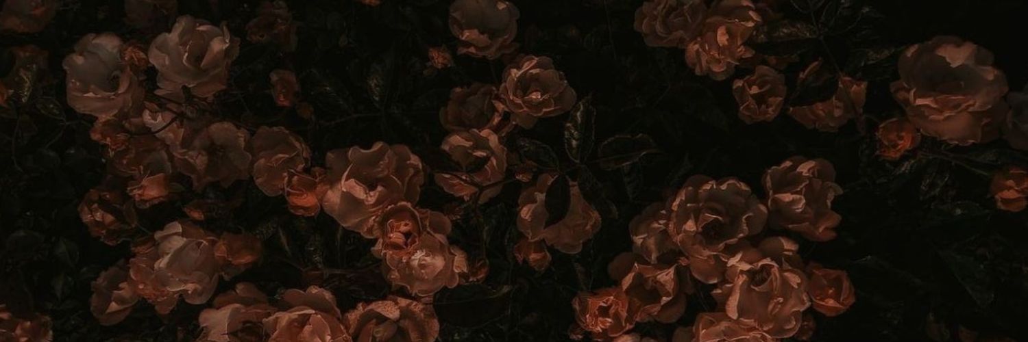 LAKVI banner