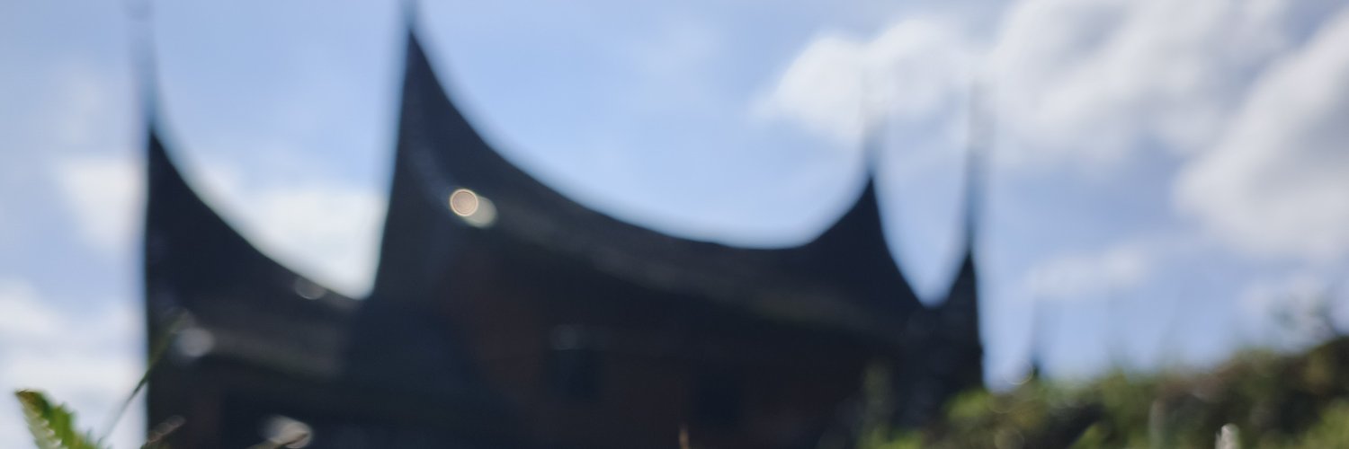 sulfaj_'s profile banner image