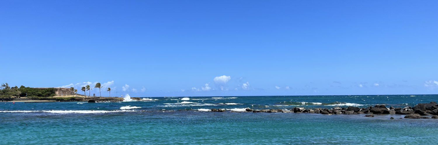 denise 🪺 banner