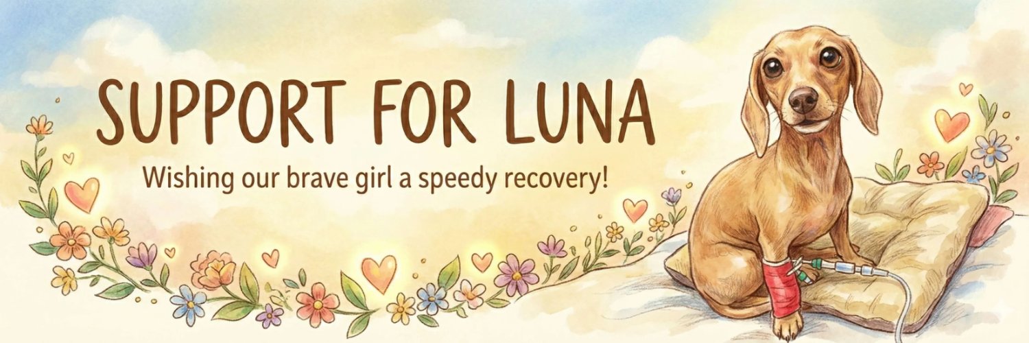 Luna banner