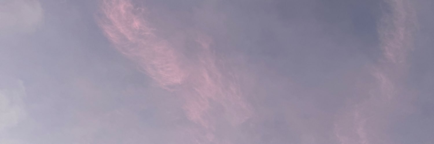 🎀 banner
