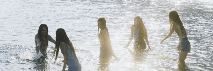 🦢 banner